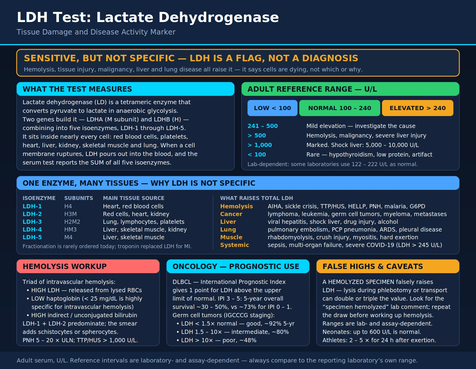 lactate dehydrogenase Test: Lactate Dehydrogenase &mdash; Tissue Damage and Disease Activity Marker — scientific infographic poster