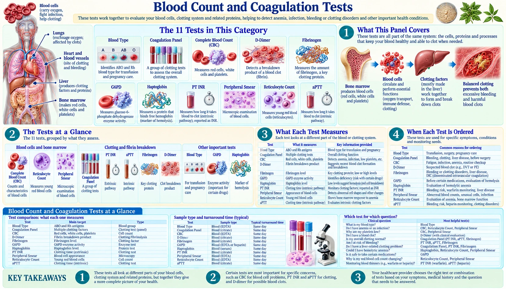 Blood and Coagulation — scientific infographic poster