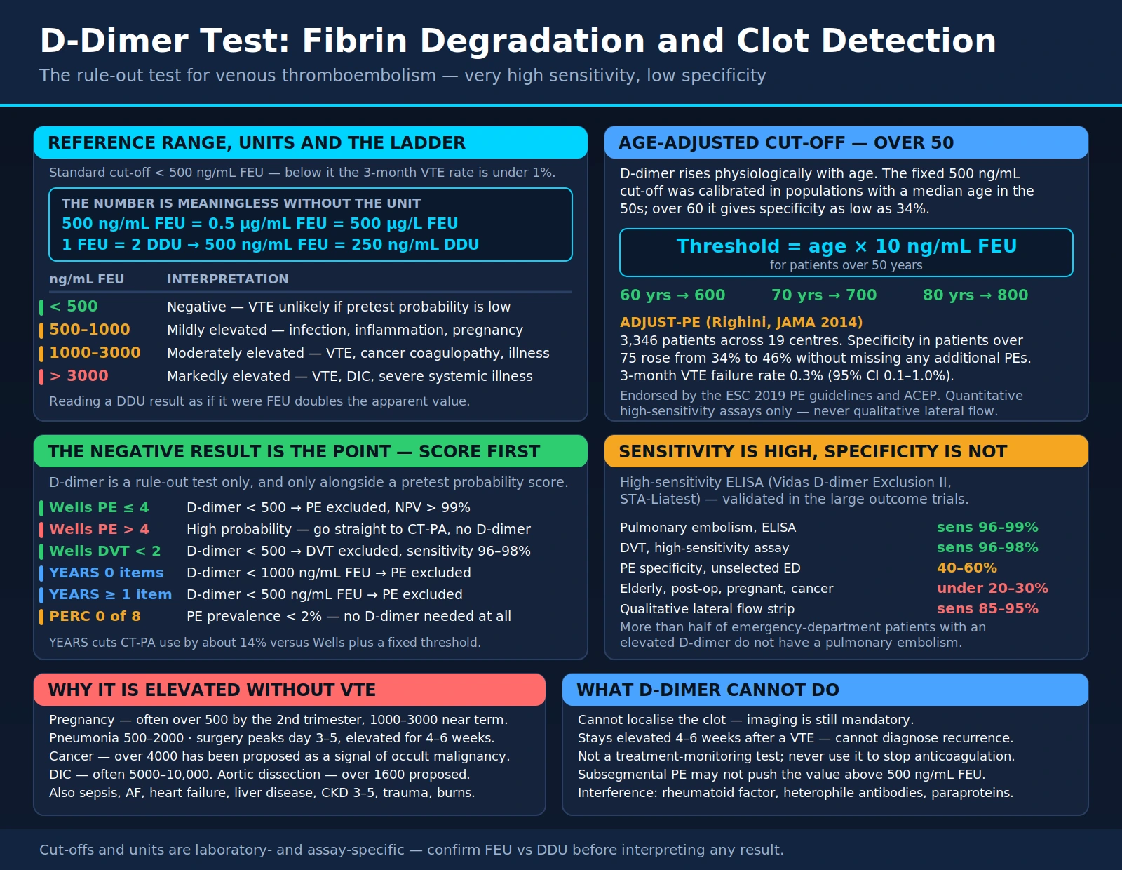 D-Dimer Test: Fibrin Degradation and Clot Detection — scientific infographic poster