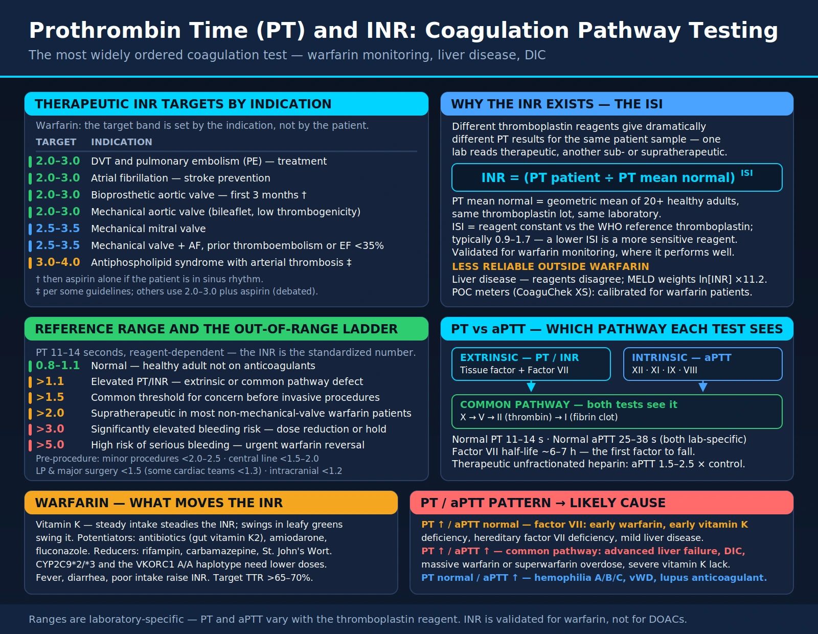 PT/INR Test: Prothrombin Time and International Normalized Ratio — scientific infographic poster
