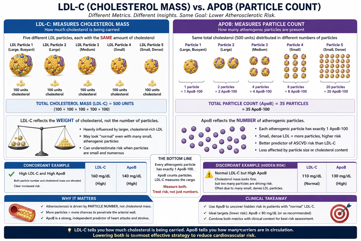 ApoB versus low-density lipoprotein cholesterol particle count comparison