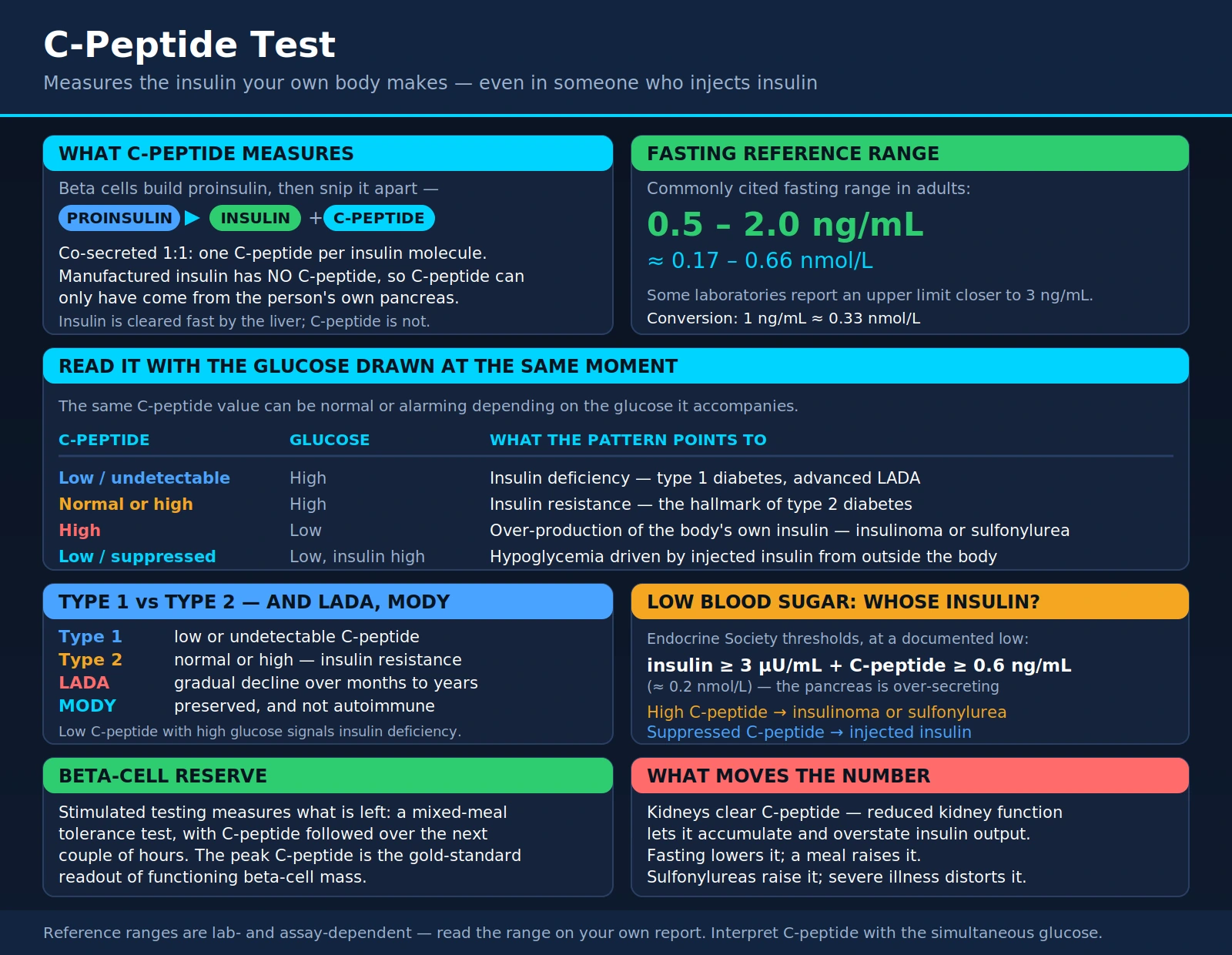 C-Peptide Test — scientific infographic poster