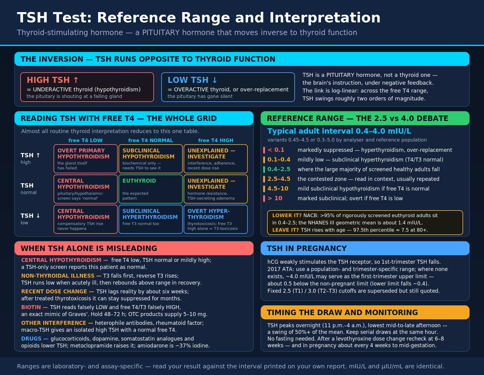 thyroid-stimulating hormone Test (Thyroid-Stimulating Hormone): Reference Range and Interpretation — scientific infographic poster