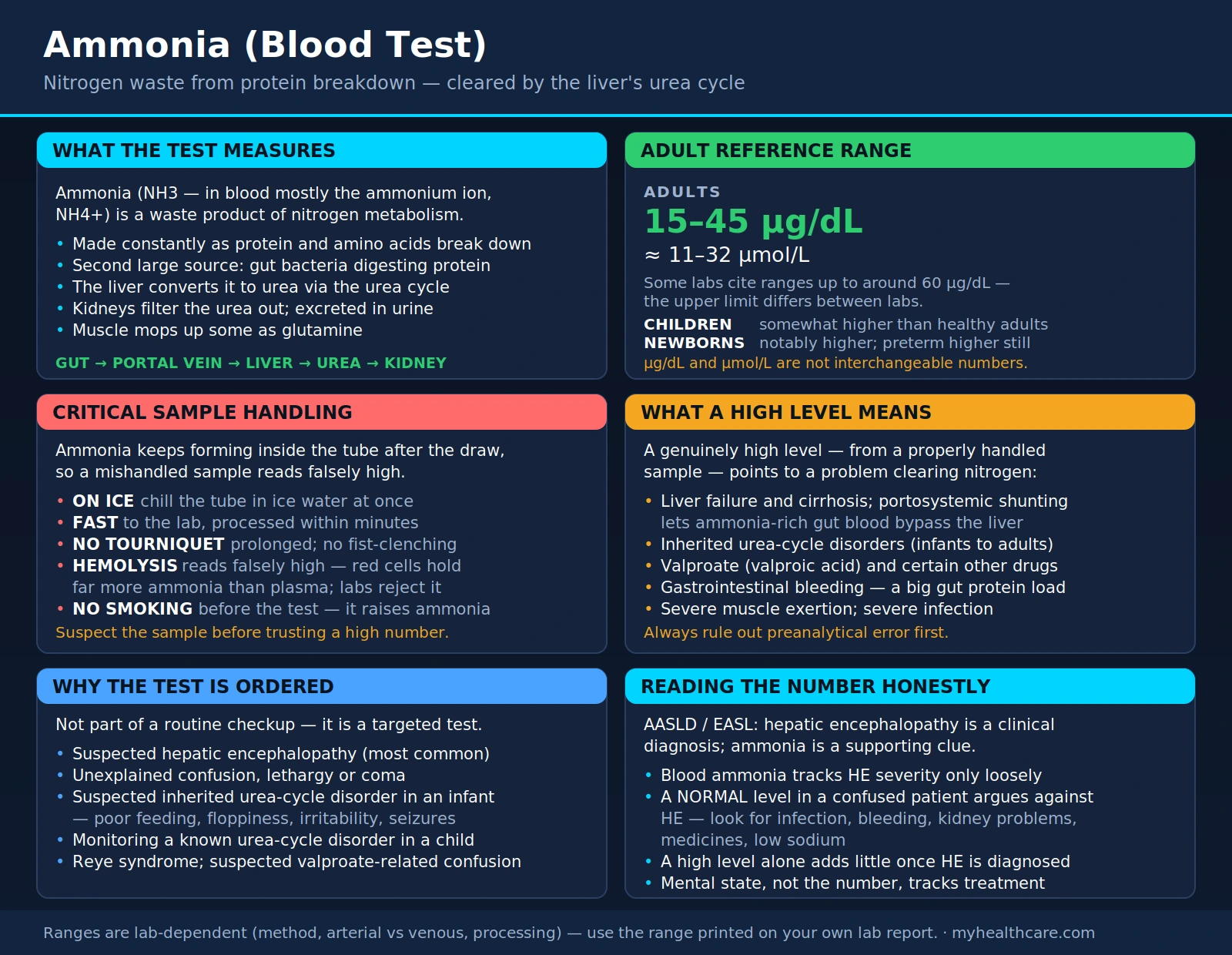 Ammonia (Blood Test) — scientific infographic poster