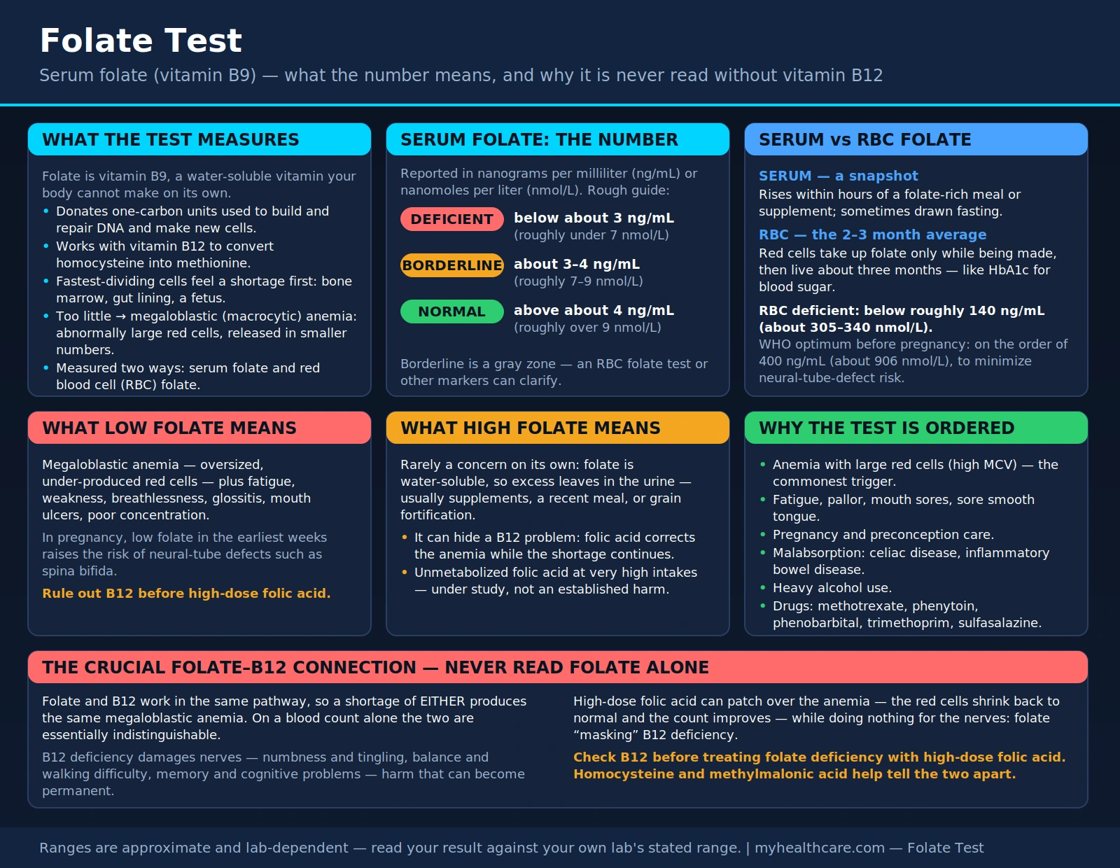 Folate Test — scientific infographic poster