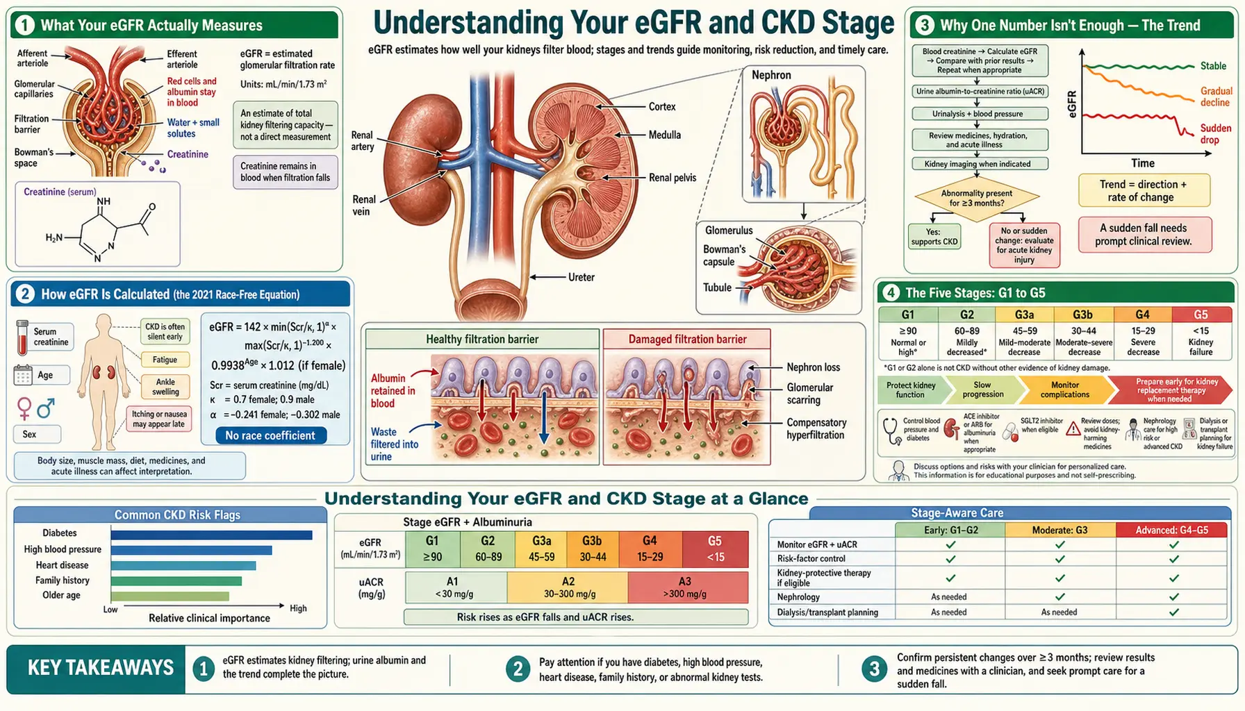eGFR and Your CKD Stage — scientific infographic poster
