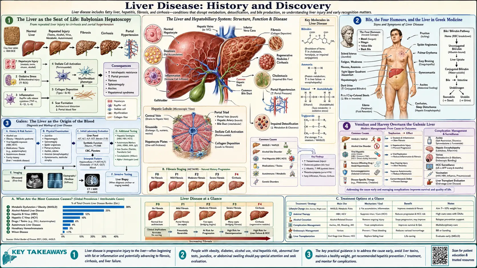 History — scientific infographic poster