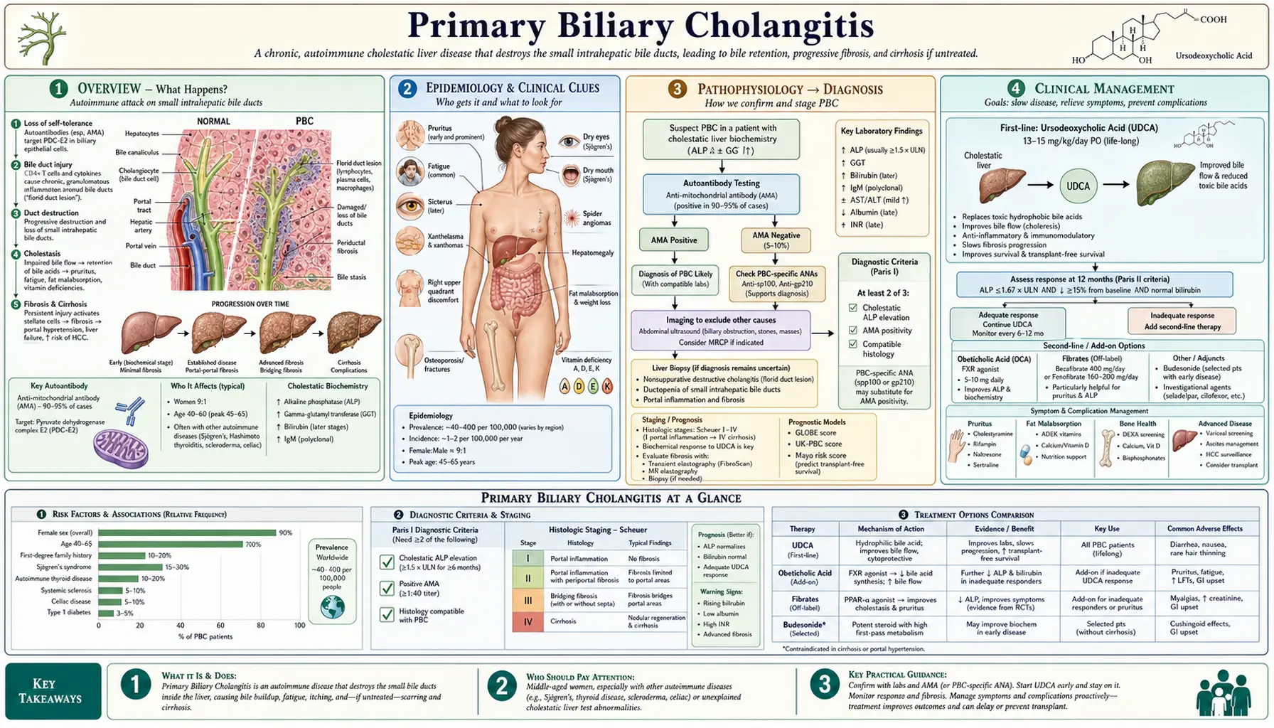 Primary Biliary Cholangitis — scientific infographic poster
