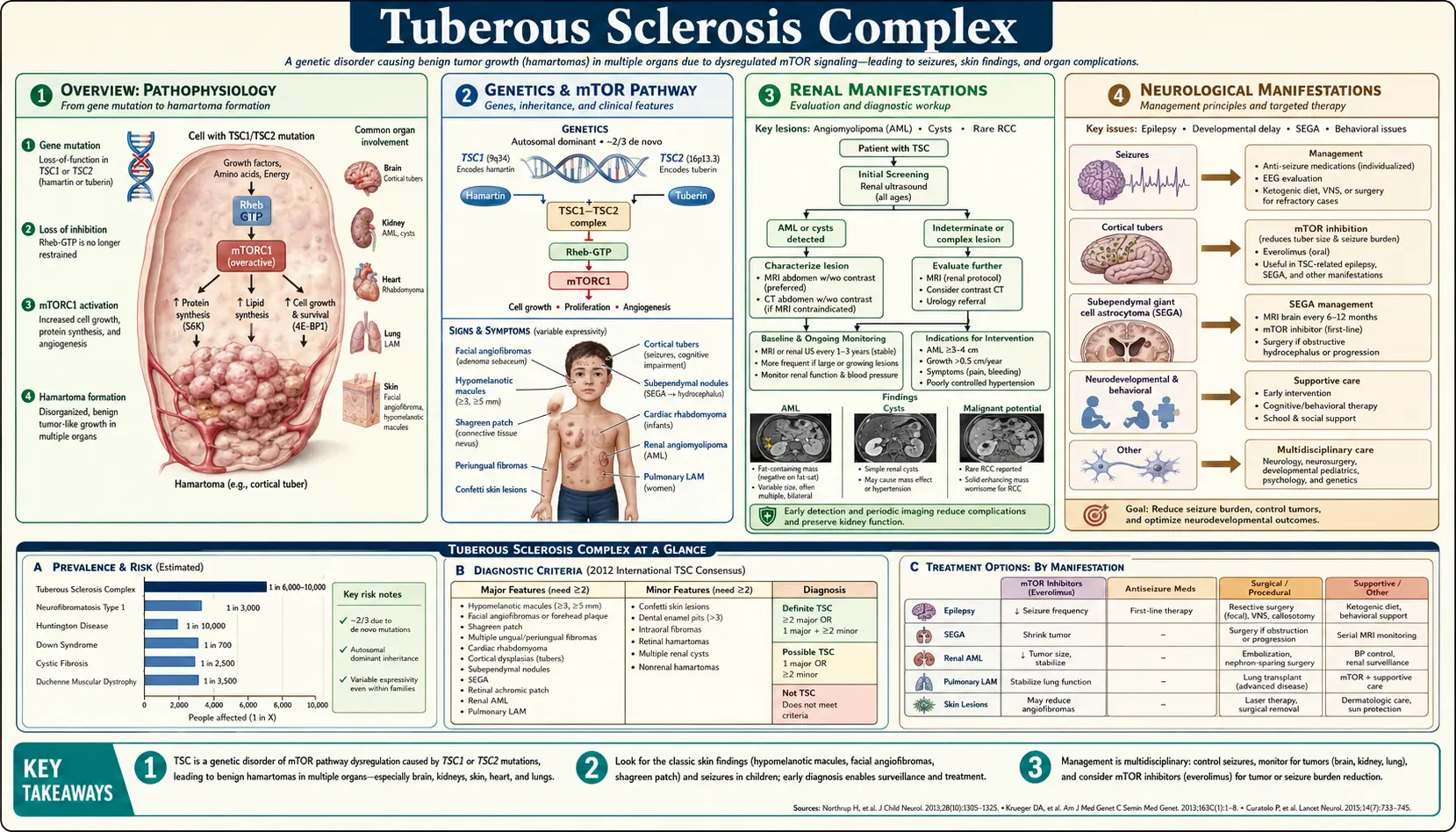 Tuberous Sclerosis — scientific infographic poster
