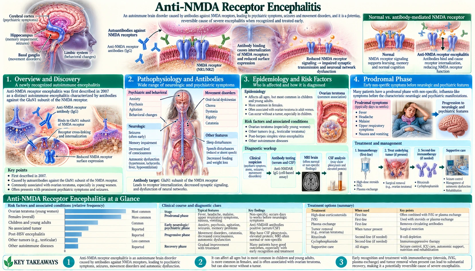 Anti NMDA Receptor Encephalitis — scientific infographic poster