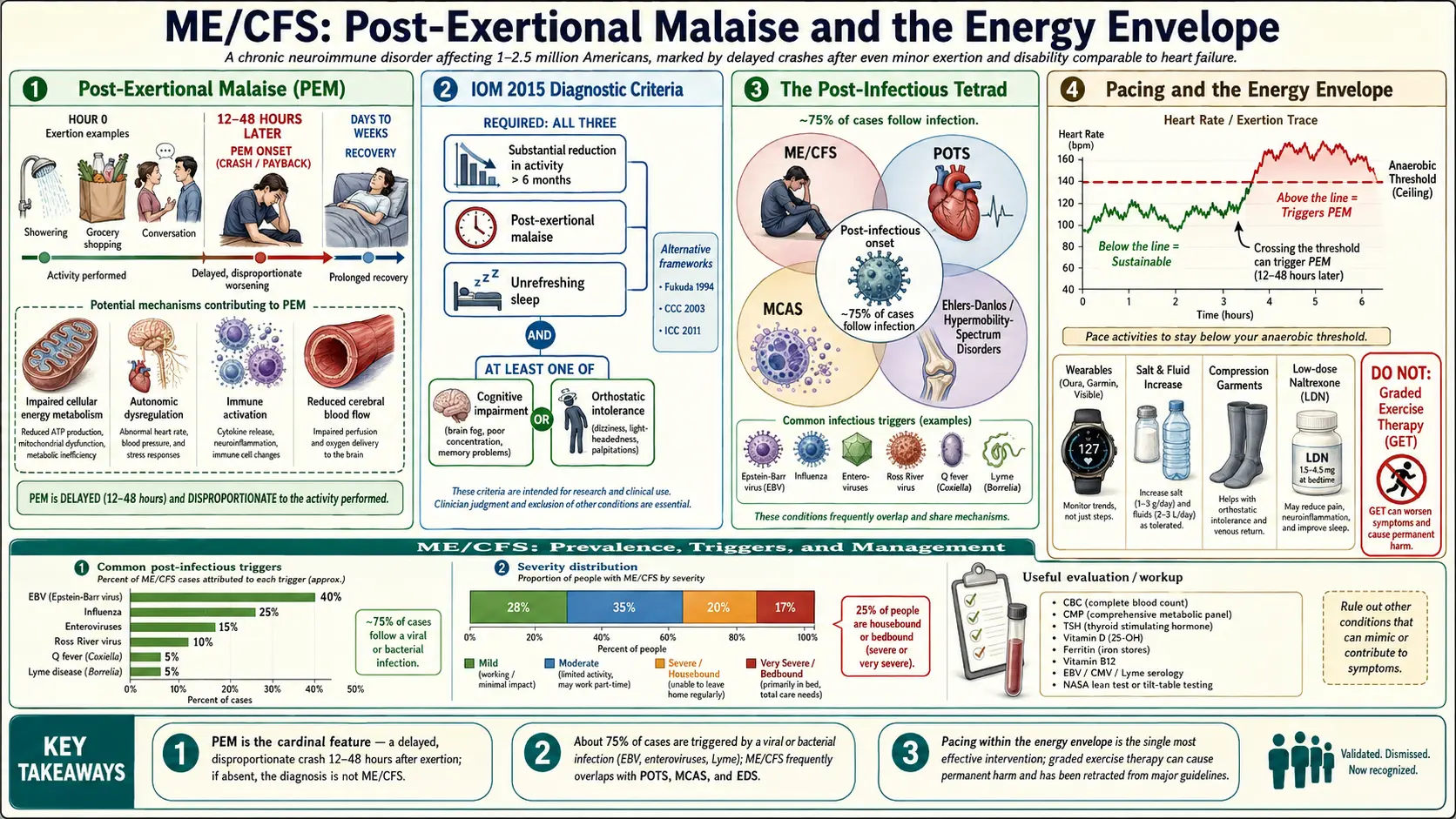Chronic Fatigue Syndrome — scientific infographic poster
