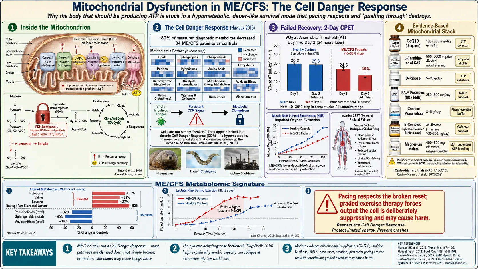 Mitochondrial Dysfunction and Energy Metabolism — scientific infographic poster