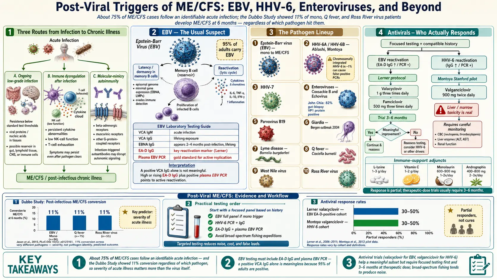 Post Viral Triggers EBV and Others — scientific infographic poster