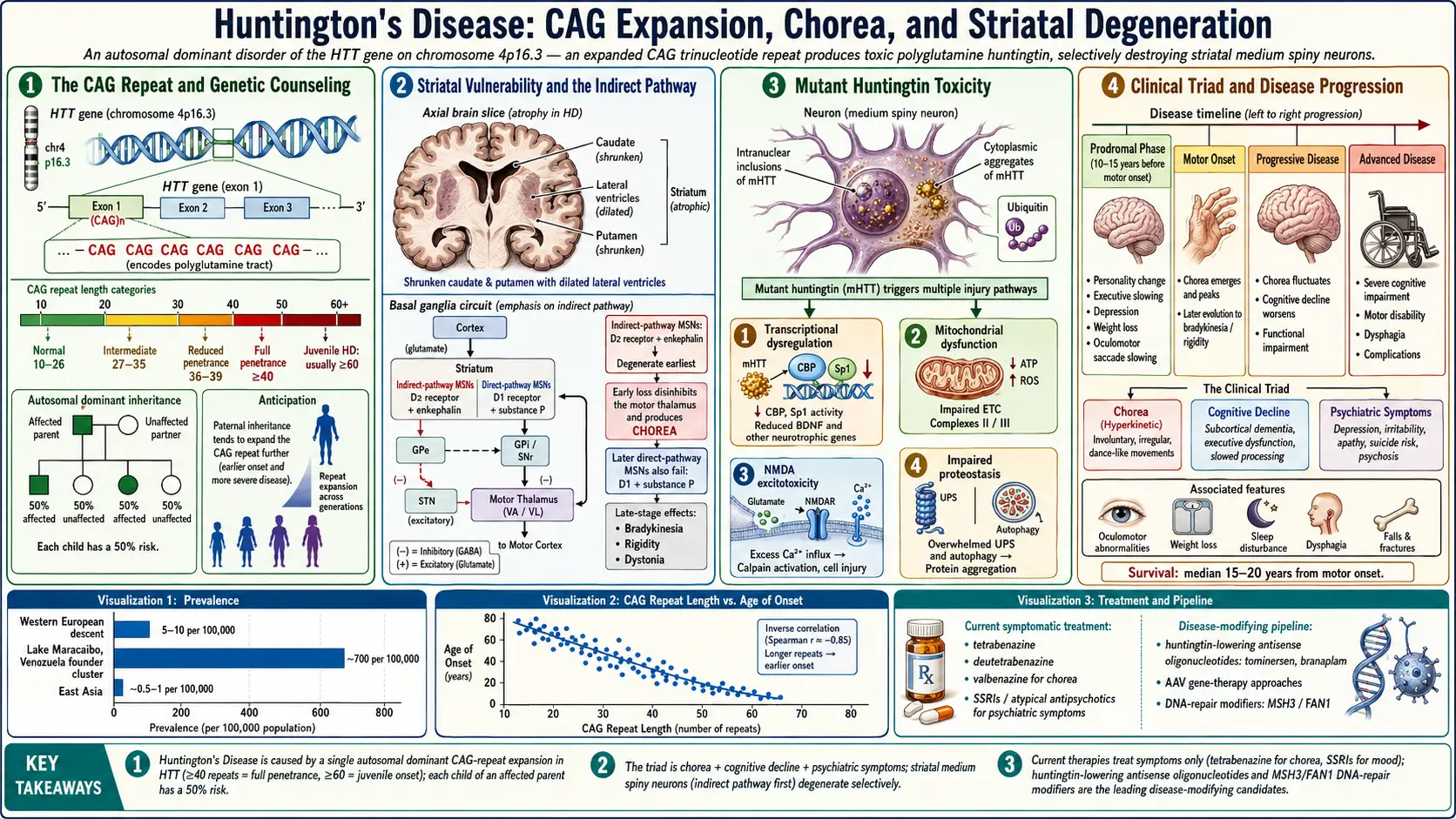 Huntingtons Disease — scientific infographic poster