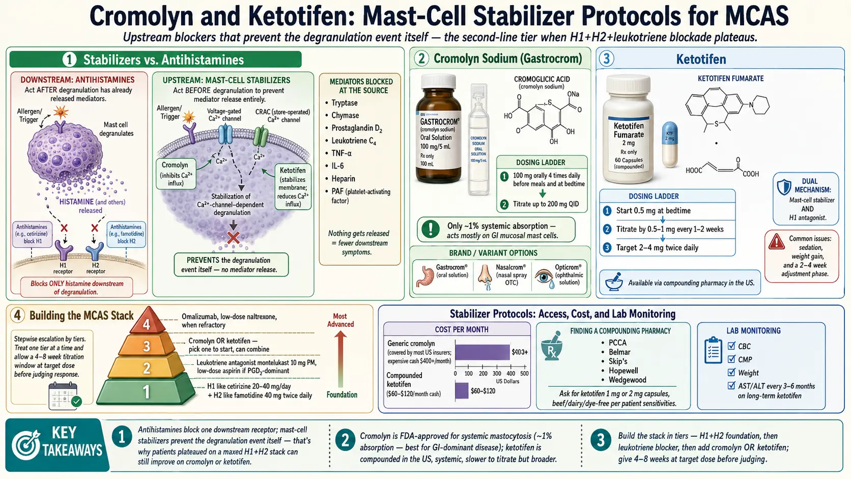 Cromolyn and Ketotifen Protocols — scientific infographic poster