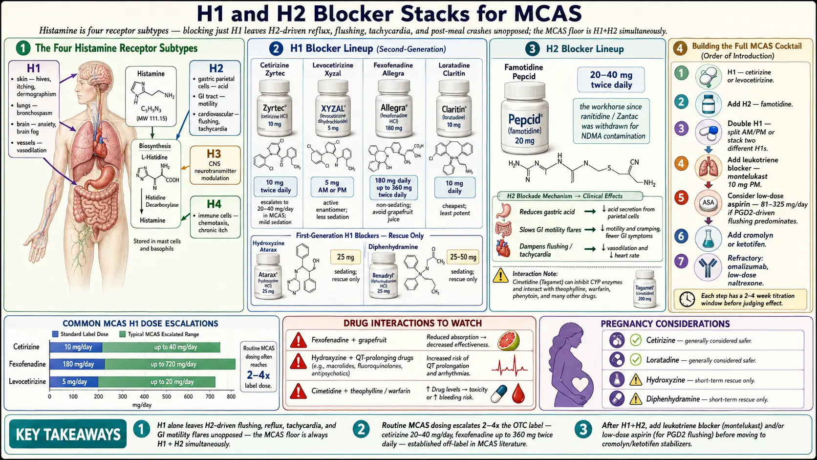 H1 and H2 Blocker Stacks — scientific infographic poster