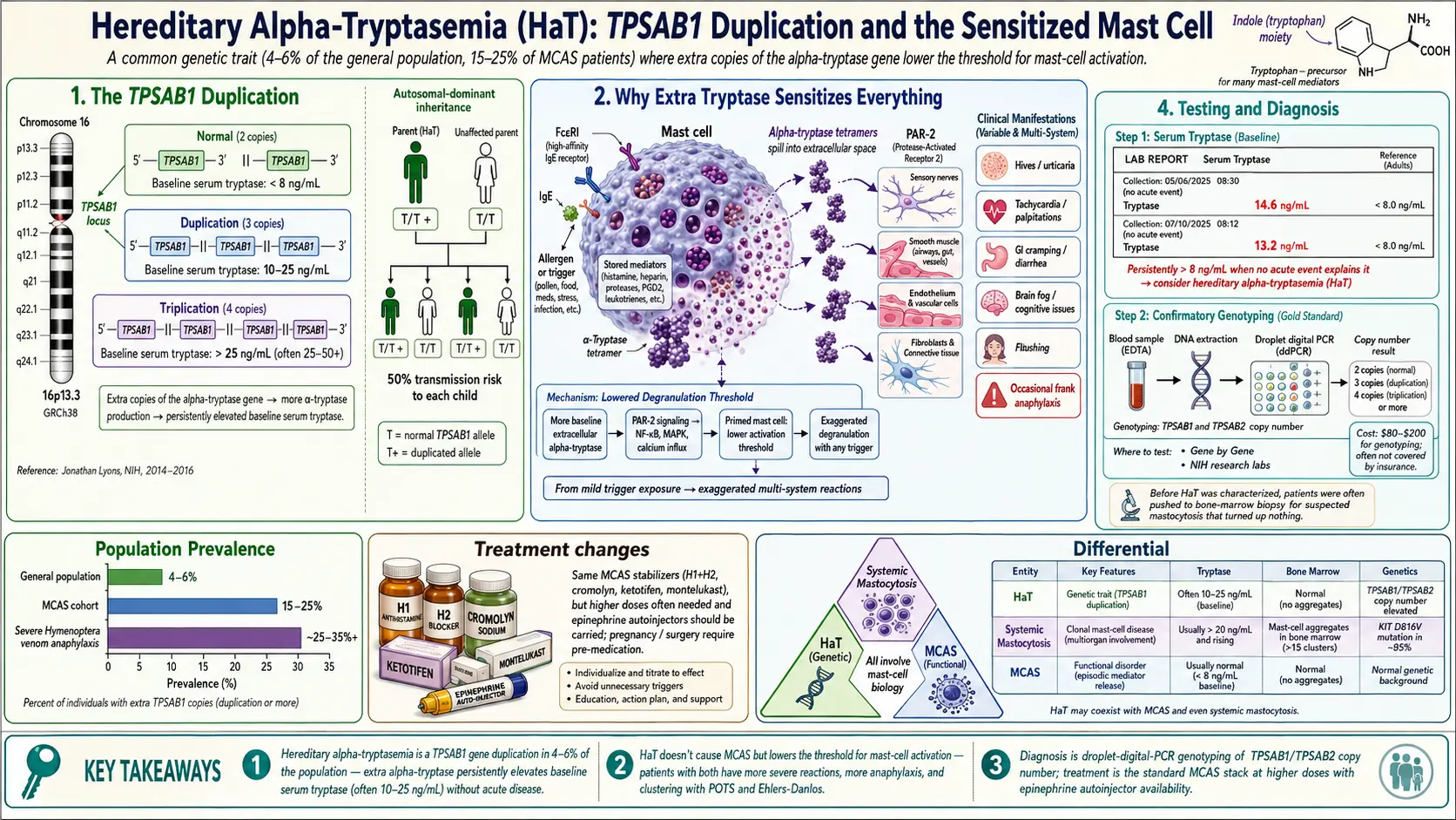 Hereditary Alpha Tryptasemia — scientific infographic poster