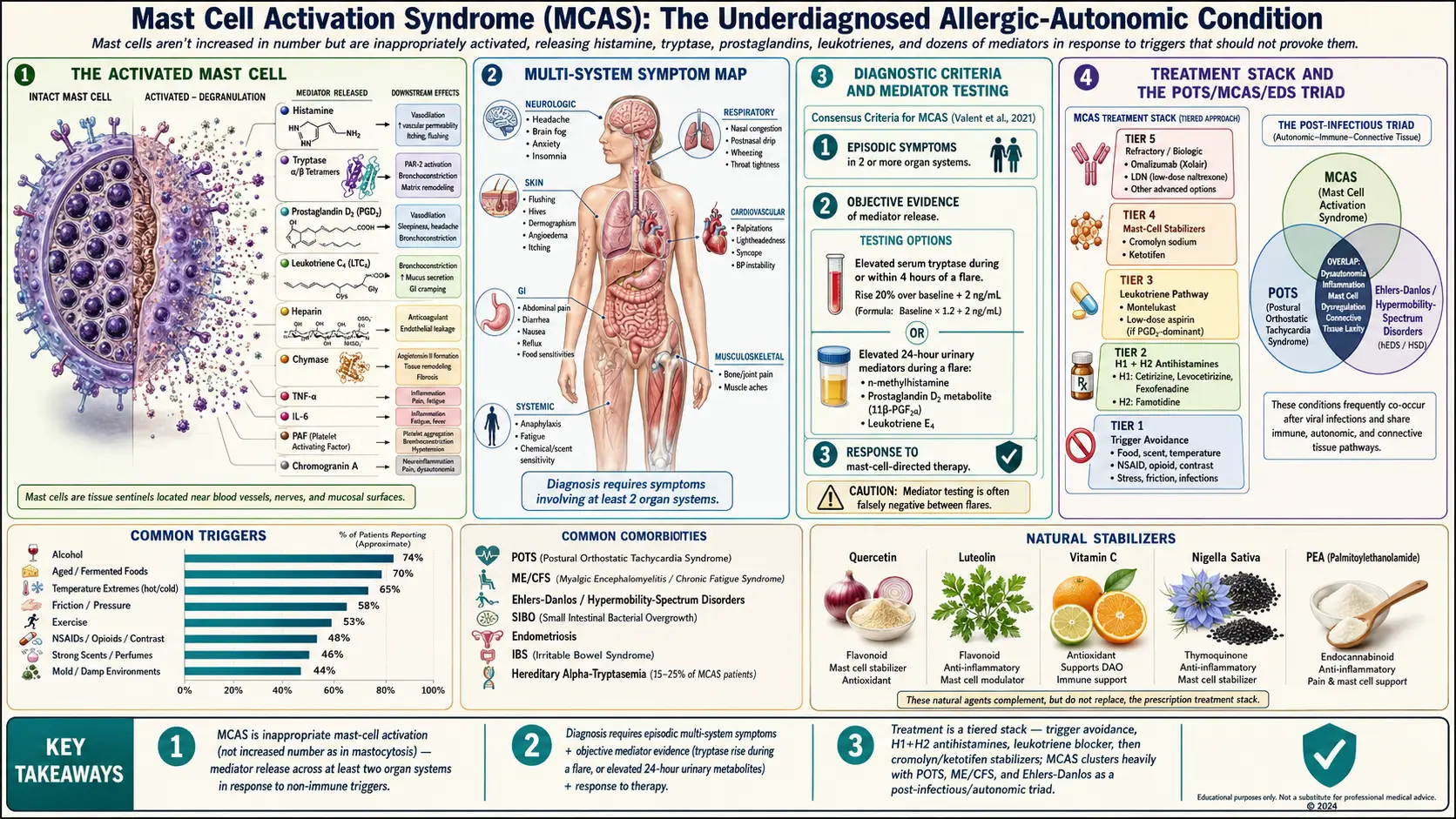 MCAS — scientific infographic poster