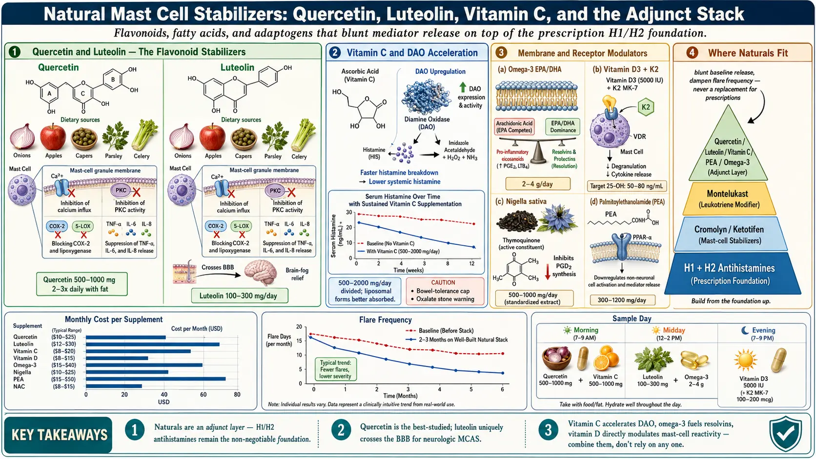 Natural Mast Cell Stabilizers — scientific infographic poster