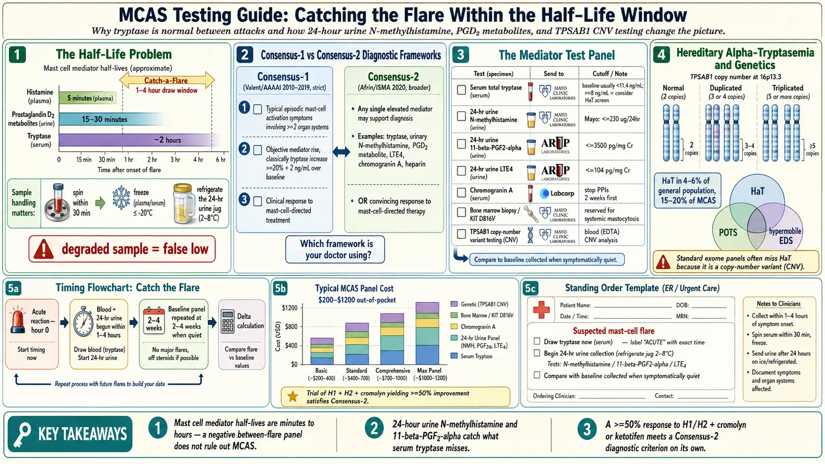 Testing Guide — scientific infographic poster
