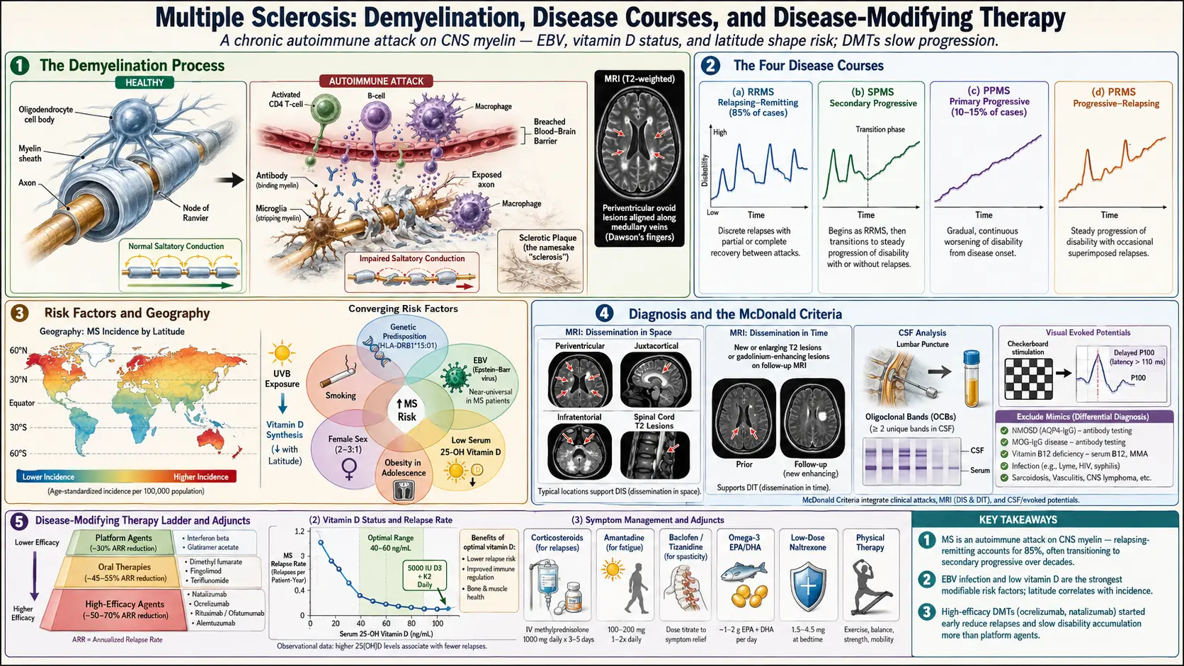 Multiple Sclerosis — scientific infographic poster