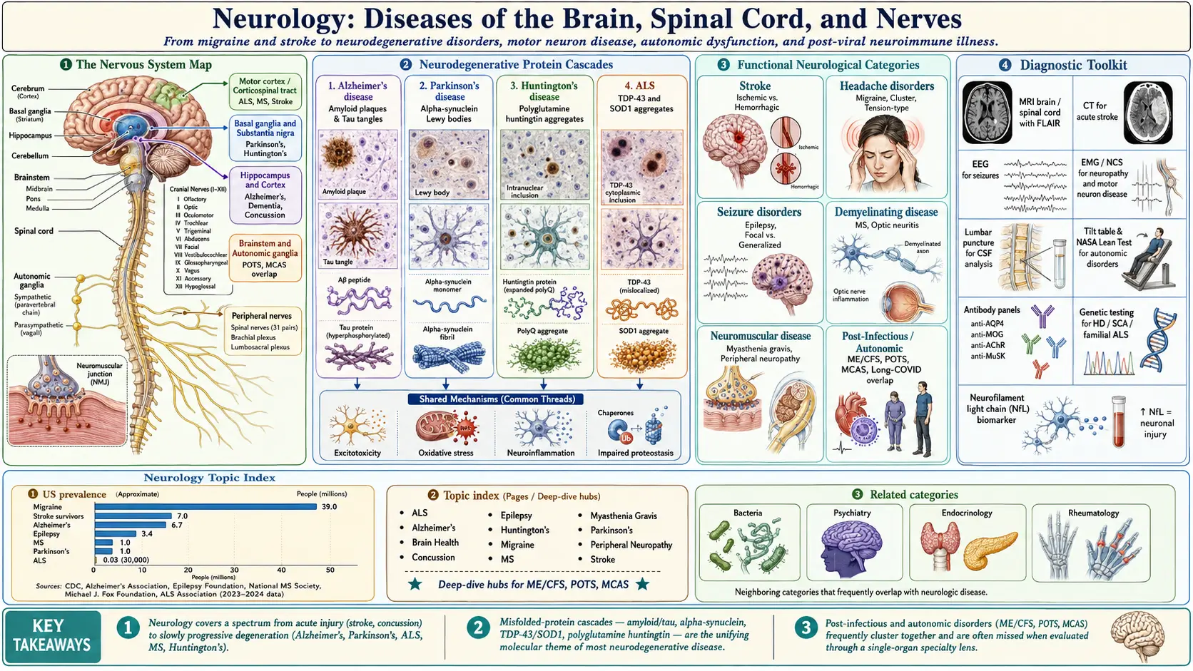 Neurology — scientific infographic poster