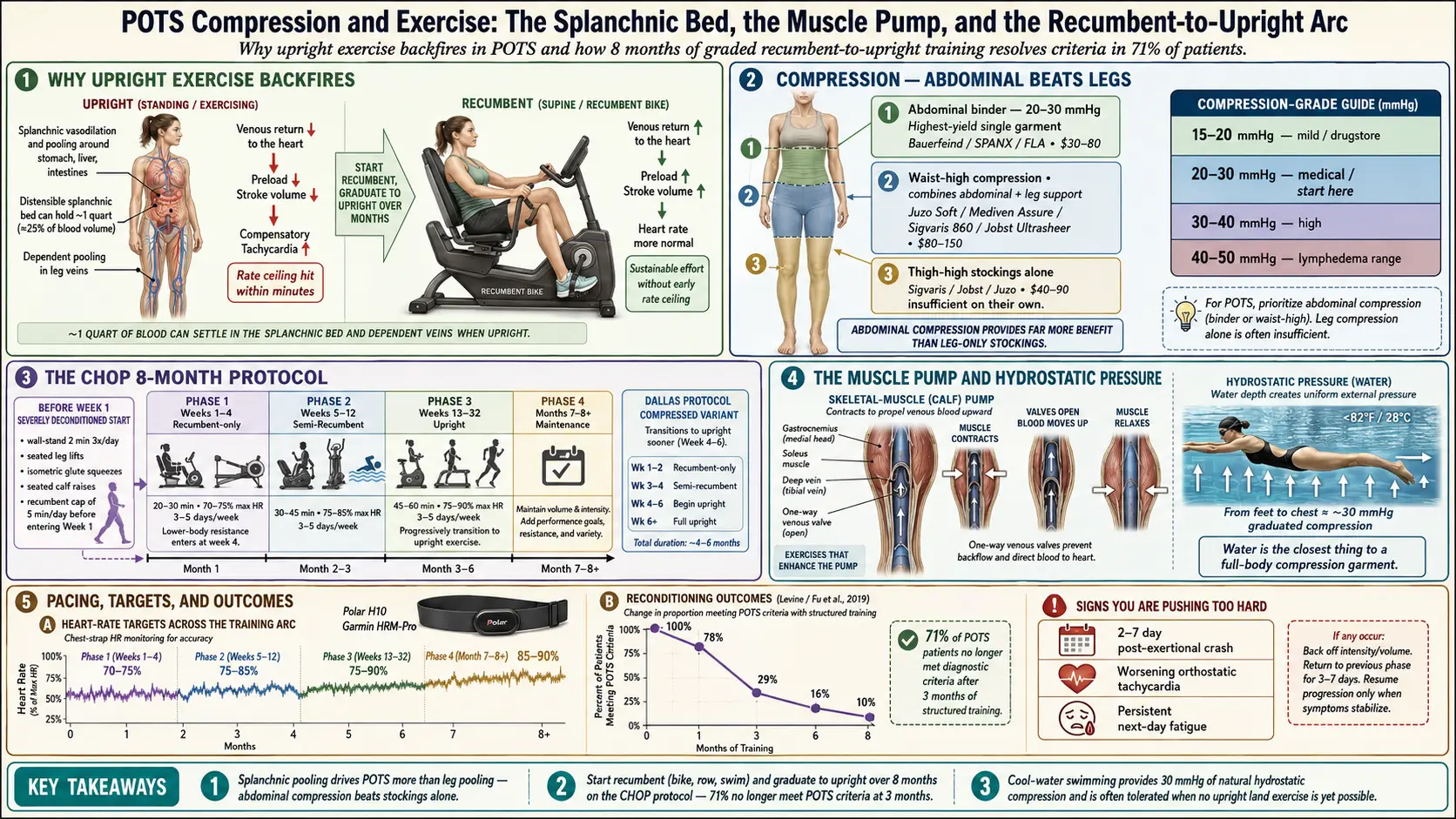 Compression and Exercise Program — scientific infographic poster