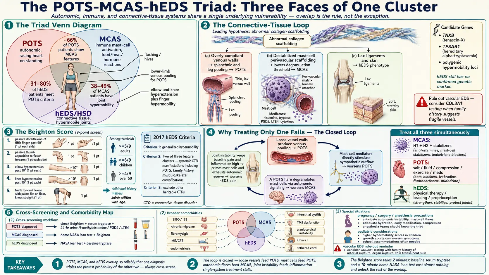 POTS MCAS EDS Triad — scientific infographic poster