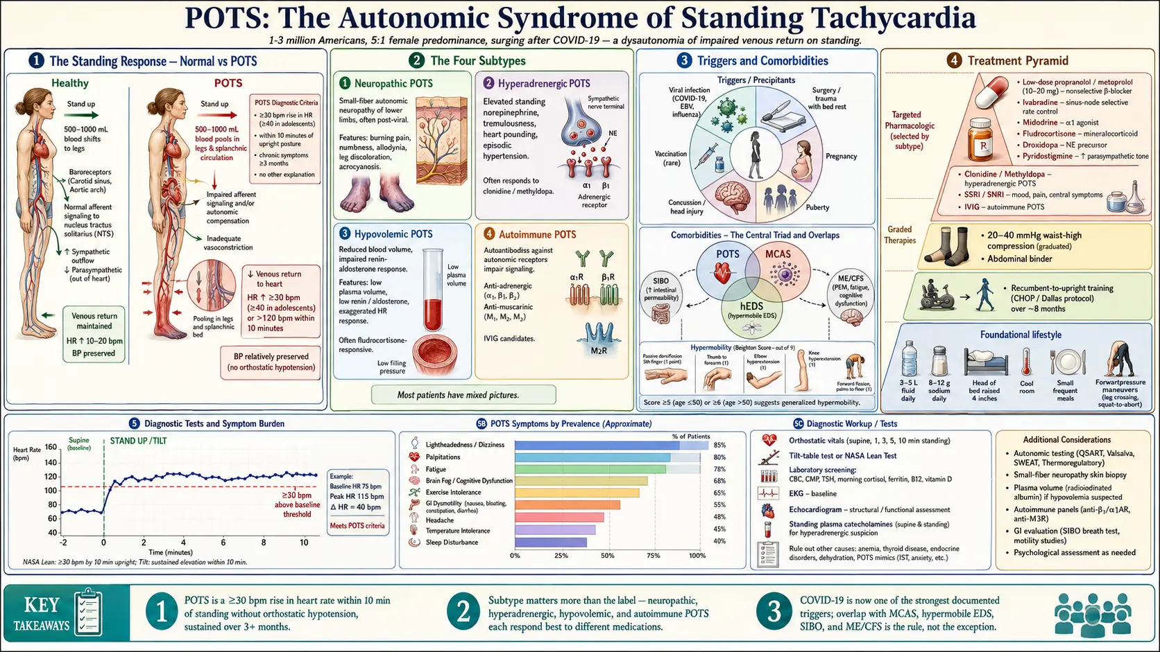 POTS — scientific infographic poster