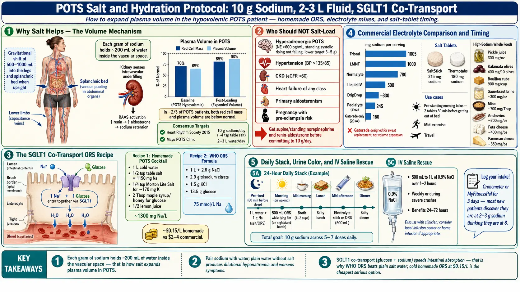 Salt and Hydration Protocol — scientific infographic poster