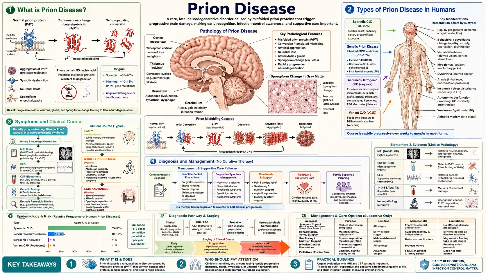 Prion Disease — scientific infographic poster