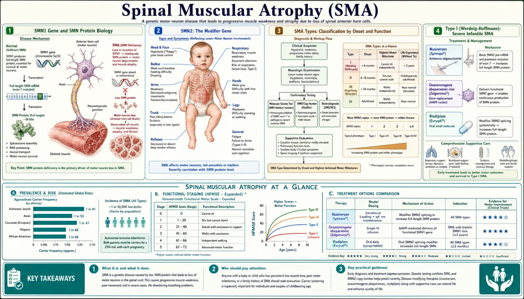 Spinal Muscular Atrophy — scientific infographic poster