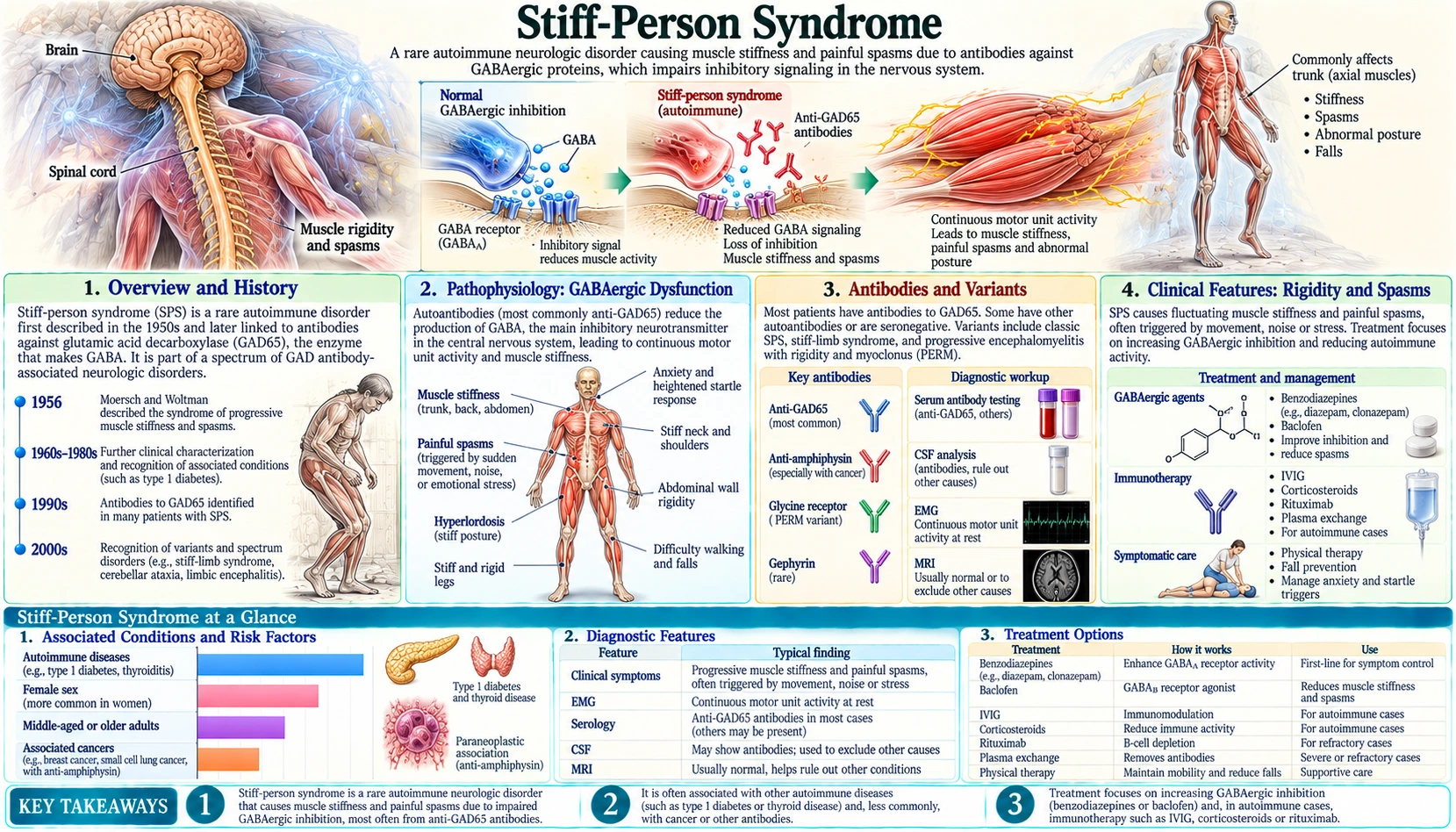 Stiff Person Syndrome — scientific infographic poster