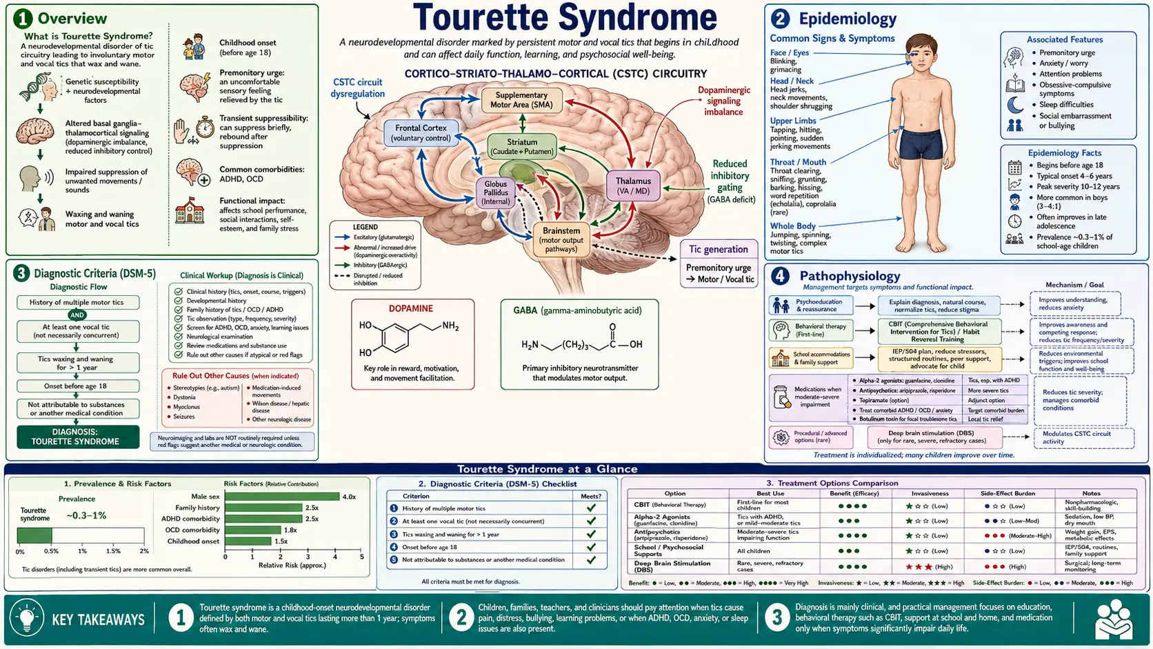 Tourette Syndrome — scientific infographic poster