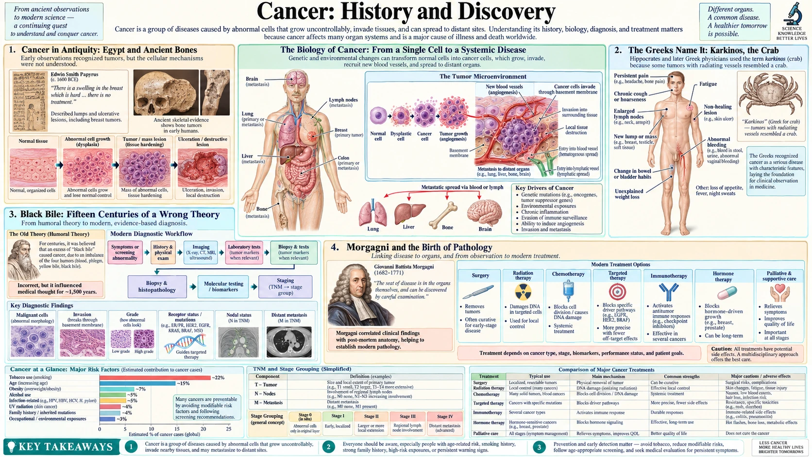 History — scientific infographic poster