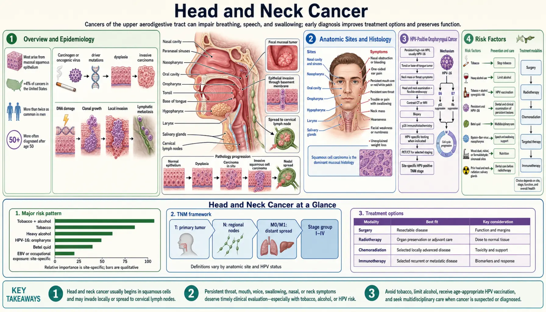 Head Neck Cancer — scientific infographic poster