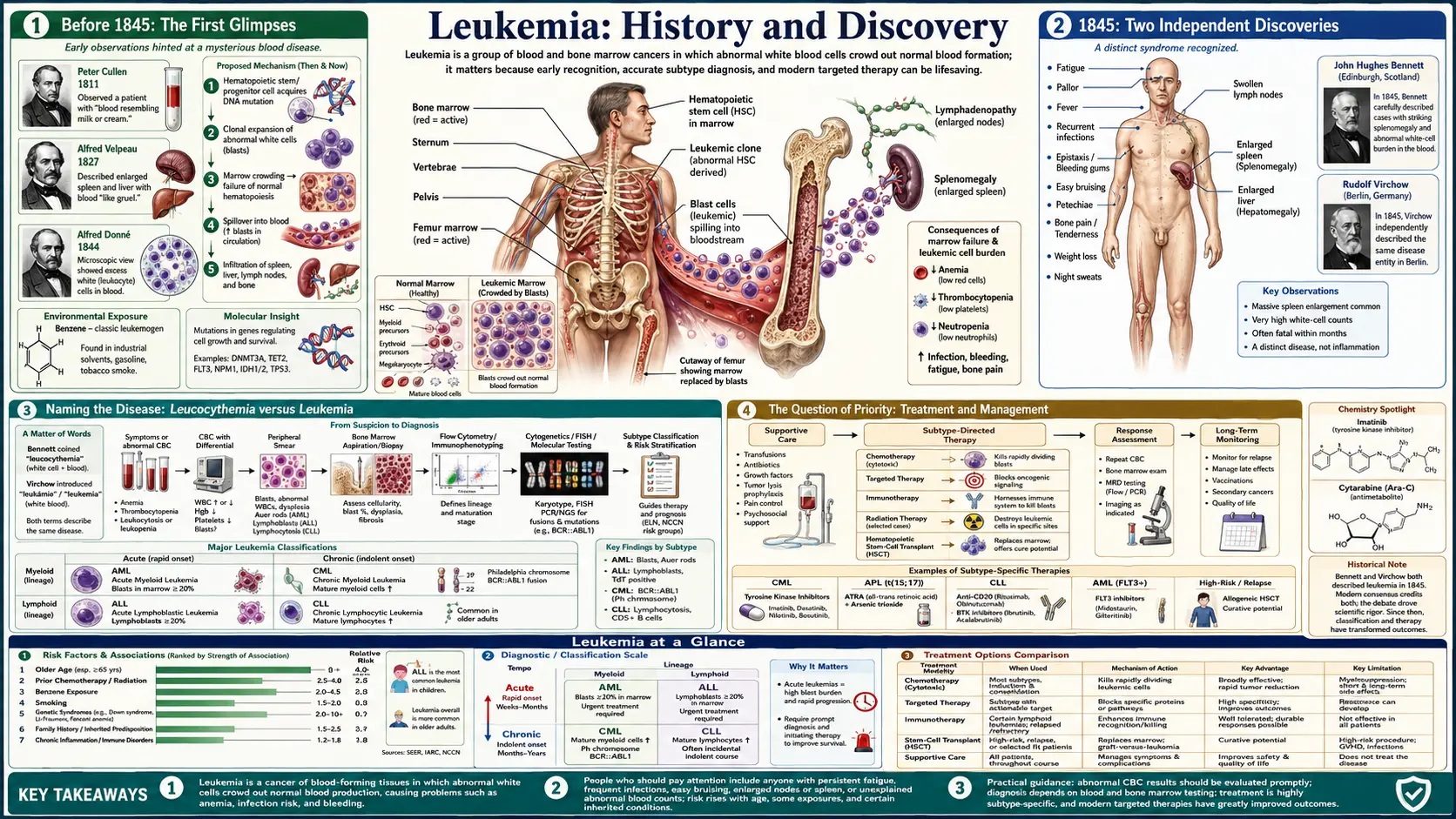 History — scientific infographic poster