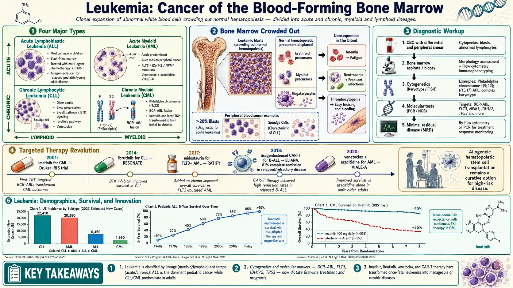 Leukemia — scientific infographic poster