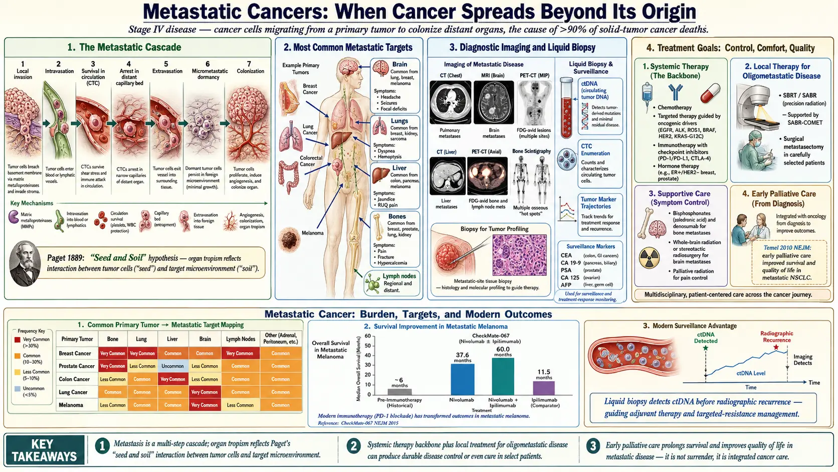 Metastatic Cancers — scientific infographic poster
