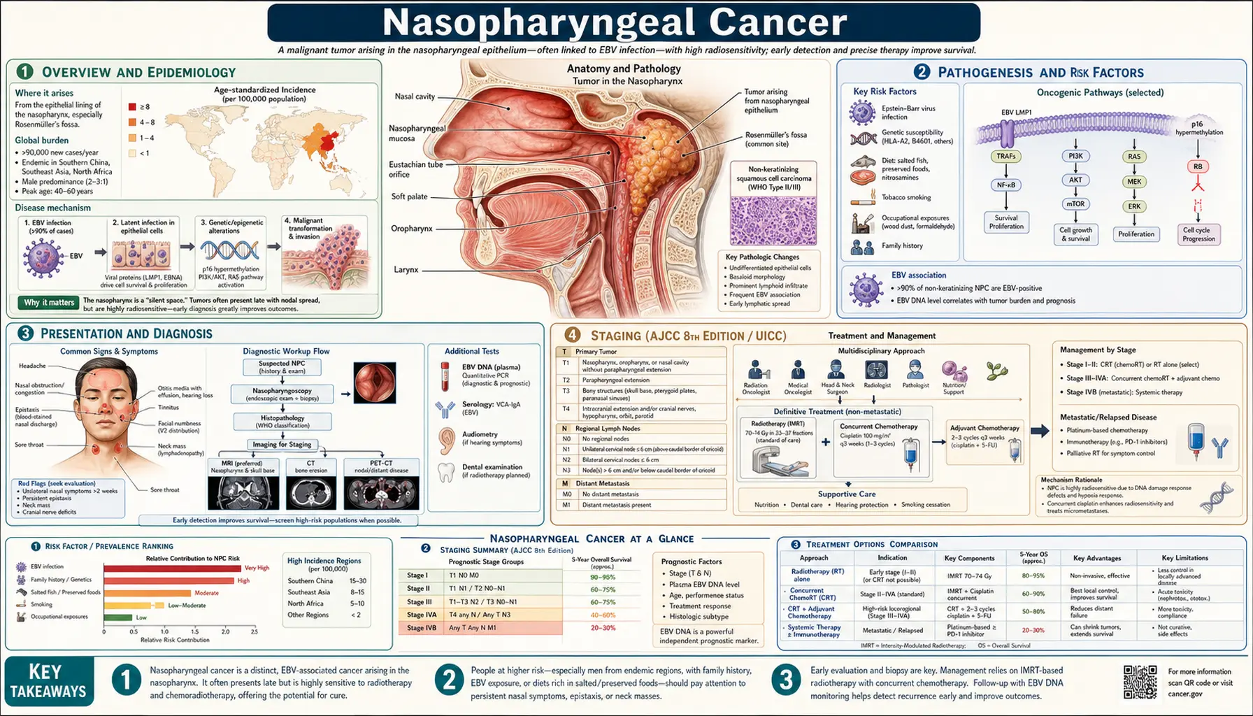 Nasopharyngeal Cancer — scientific infographic poster