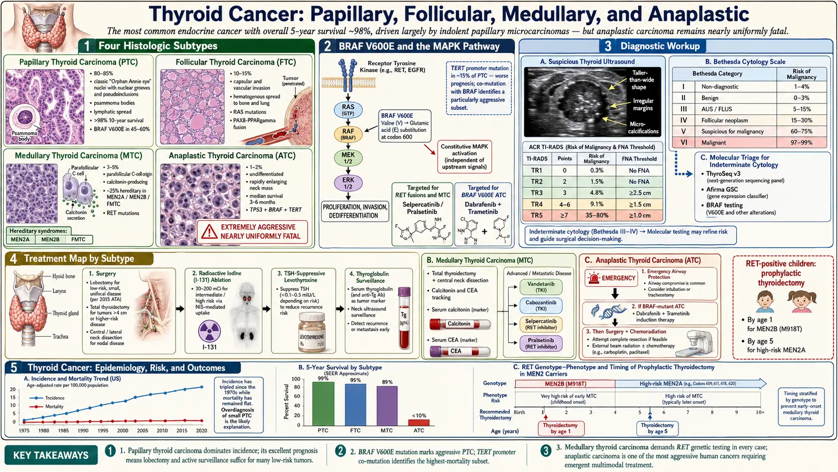 Thyroid Cancer — scientific infographic poster