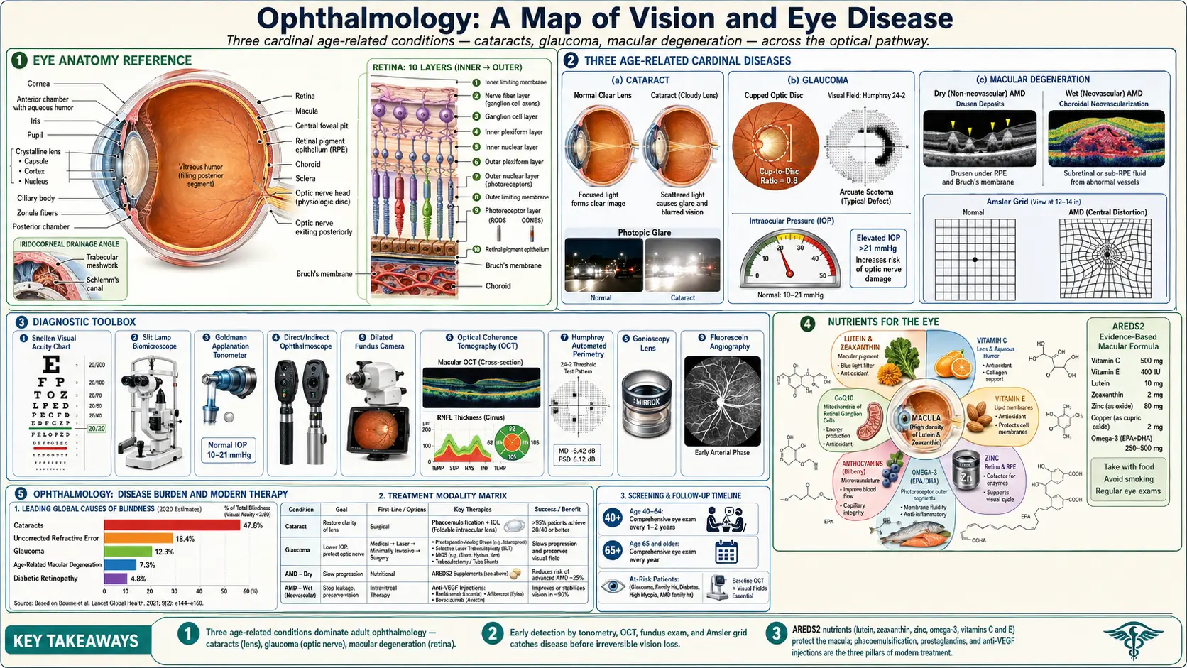 Ophthalmology — scientific infographic poster