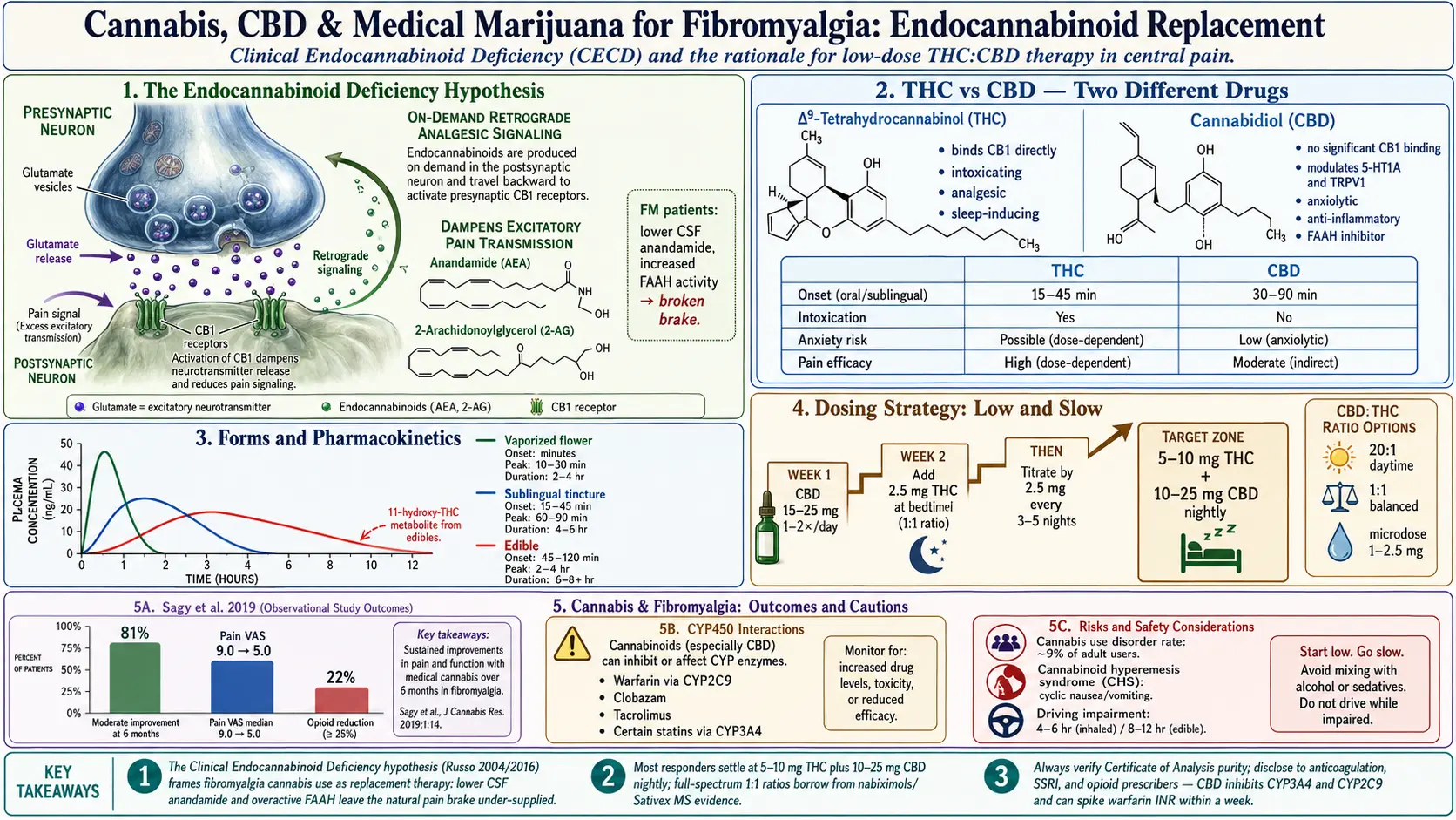 Cannabis CBD and Medical Marijuana for Fibromyalgia — scientific infographic poster