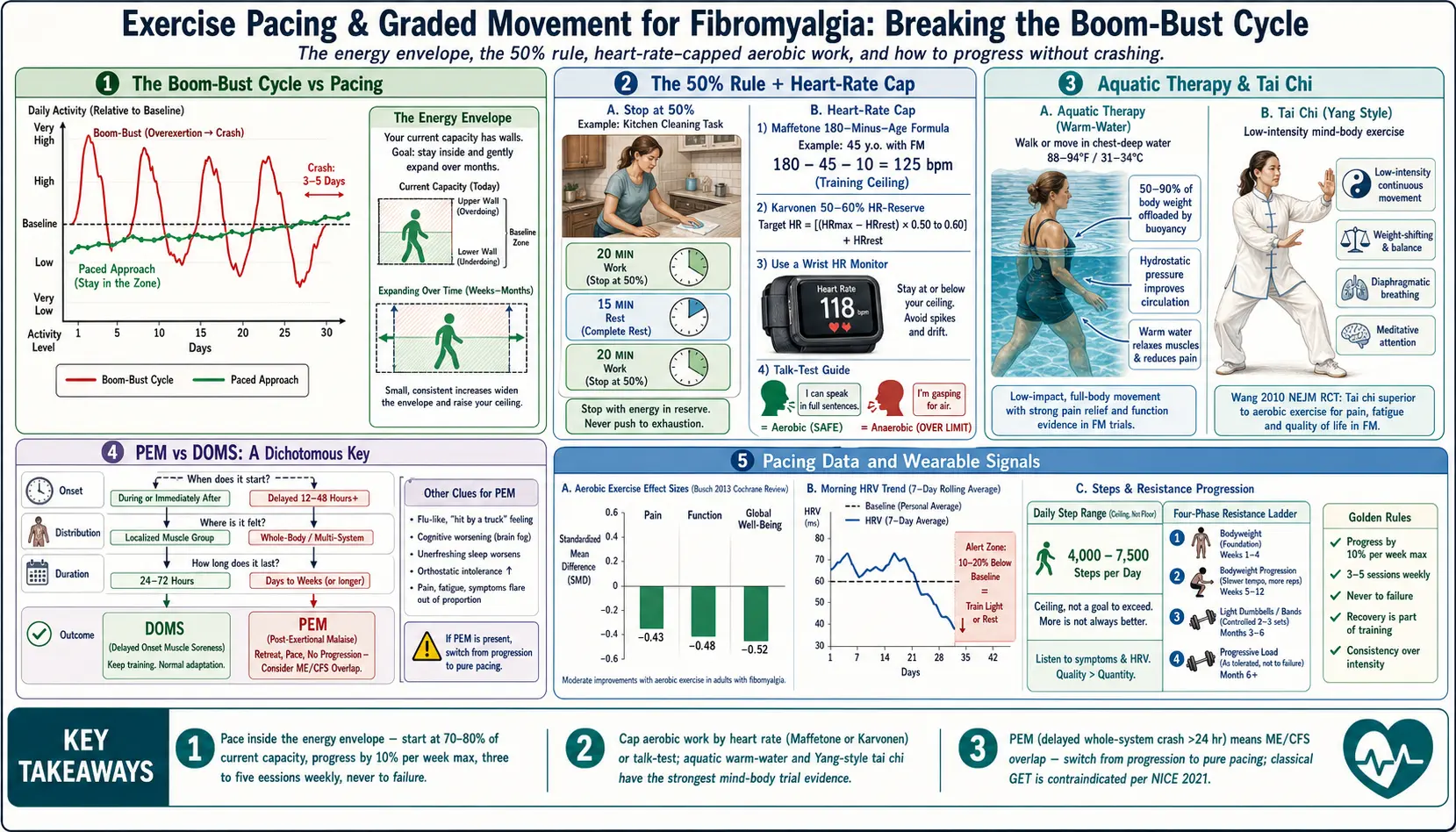 Exercise Pacing and Graded Movement — scientific infographic poster