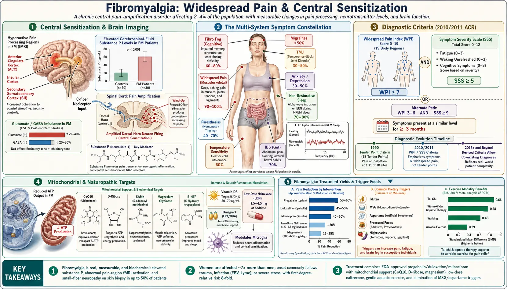 Fibromyalgia — scientific infographic poster