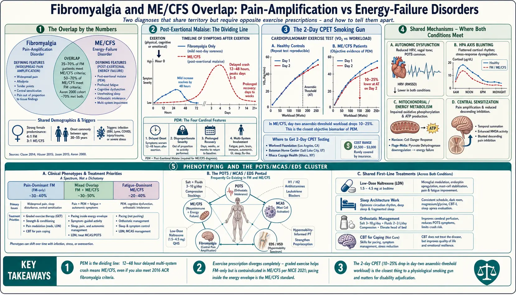 Fibromyalgia and ME CFS Overlap — scientific infographic poster
