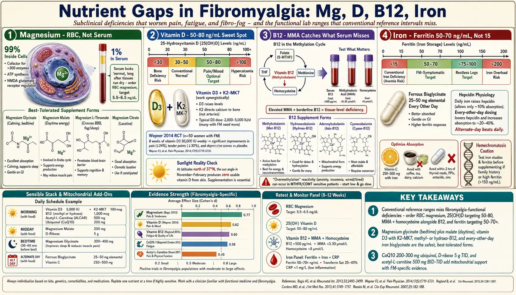 Nutrient Gaps Magnesium D B12 — scientific infographic poster
