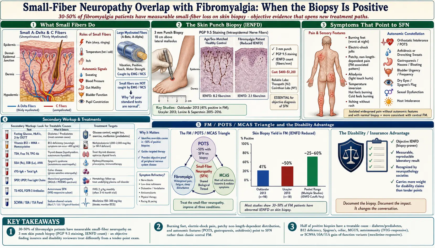 Small Fiber Neuropathy Overlap — scientific infographic poster