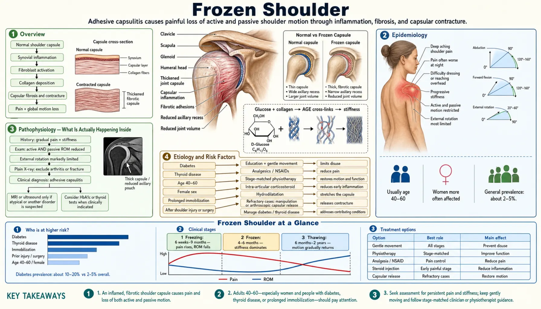 Frozen Shoulder — scientific infographic poster