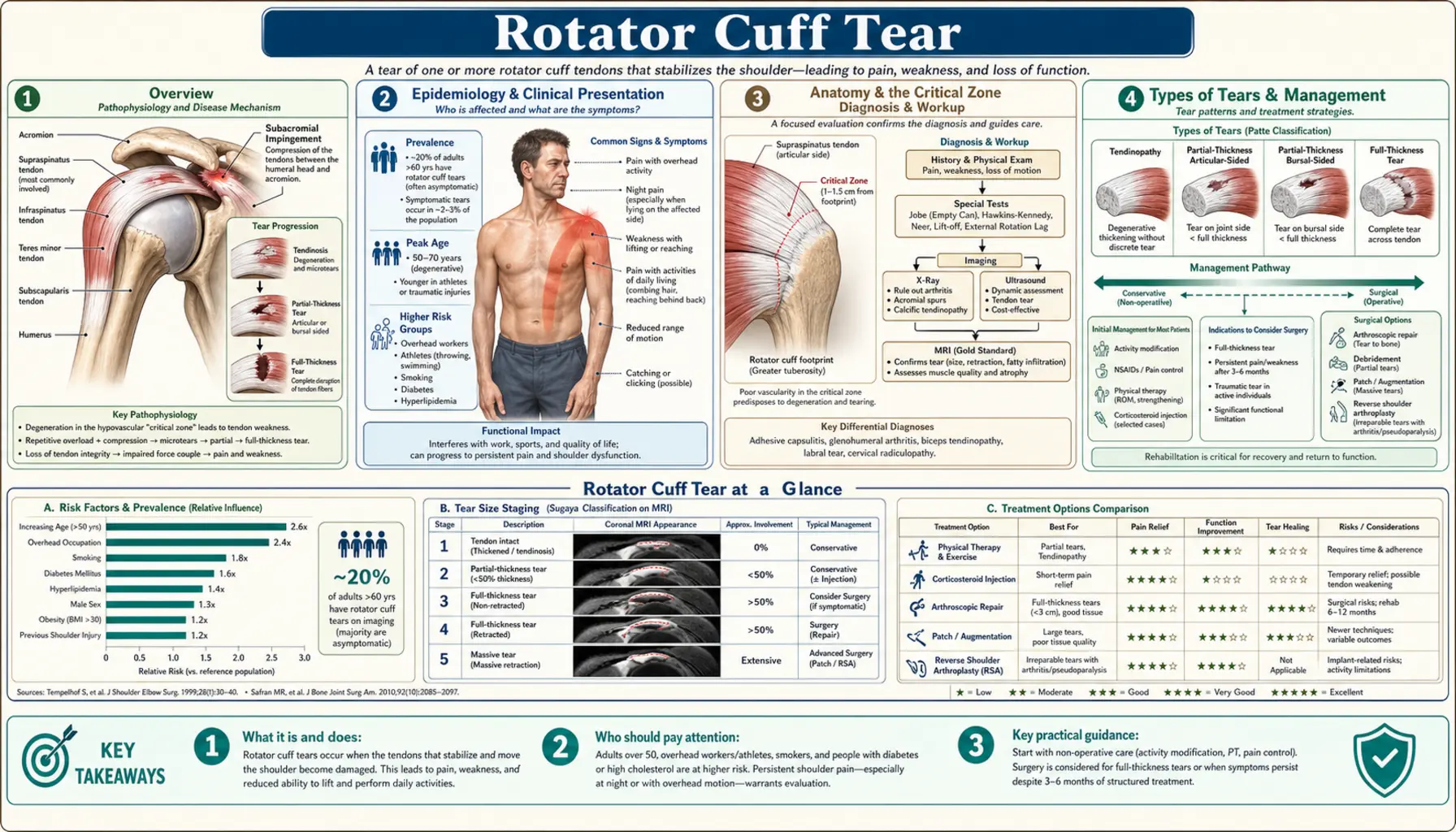 Rotator Cuff Tear — scientific infographic poster